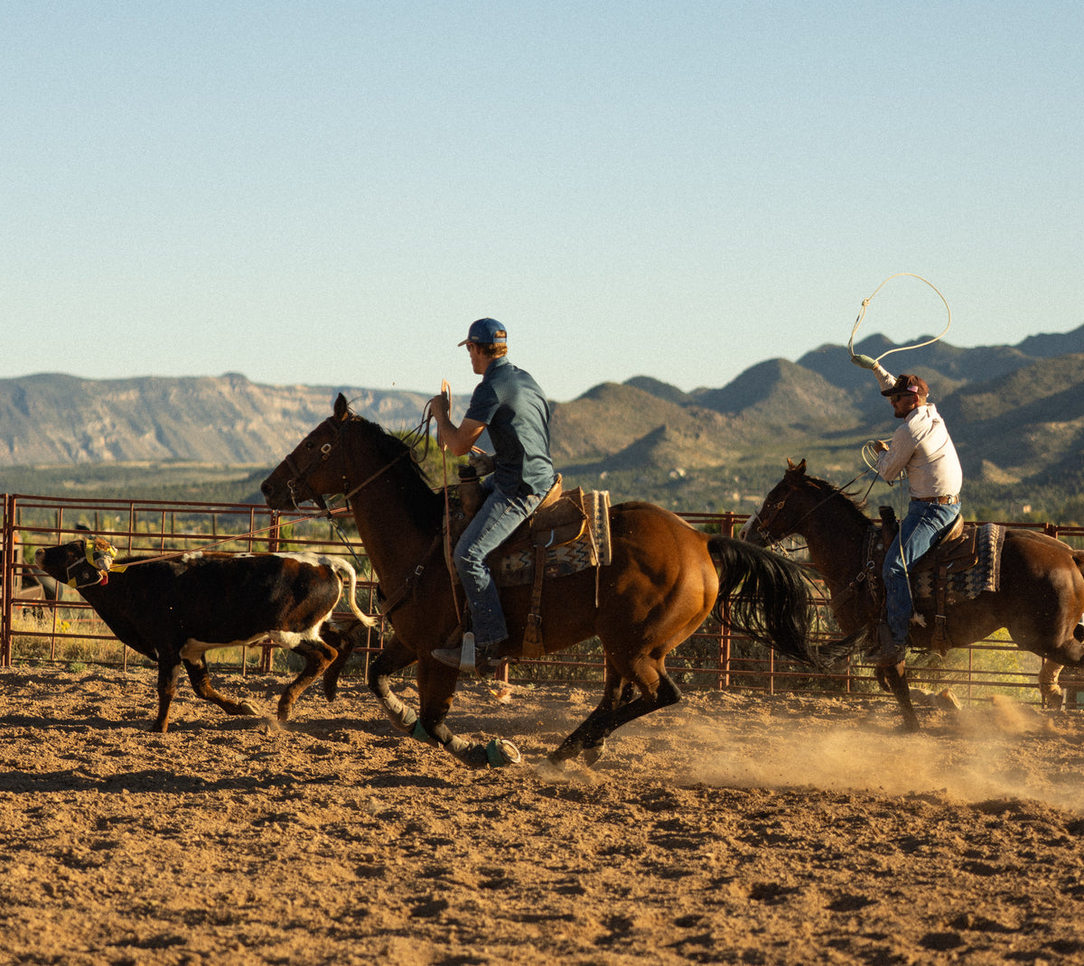 Bull River Supply team roping a steer in an arena