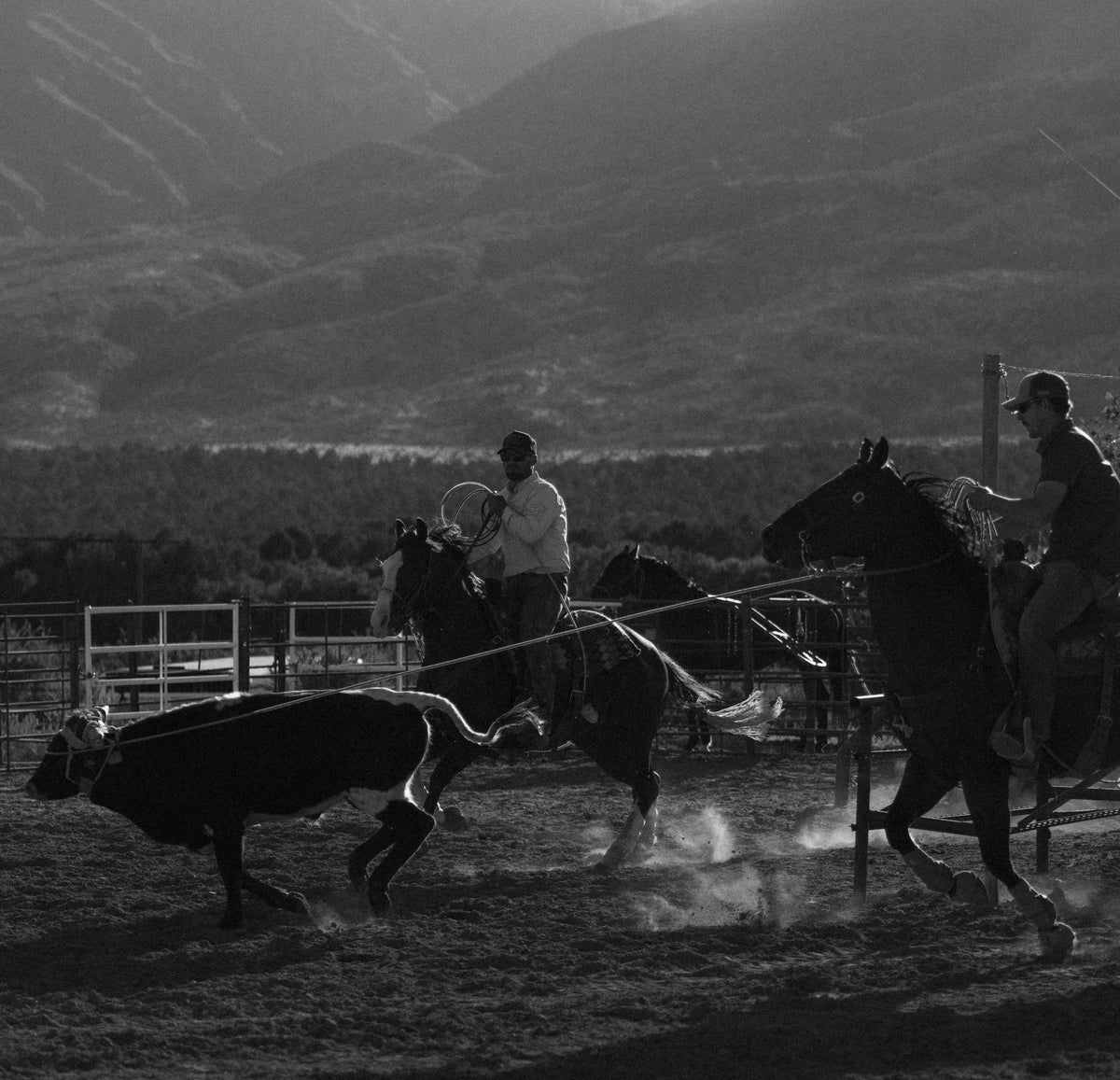 Bull River Supply team ropers chasing a steer